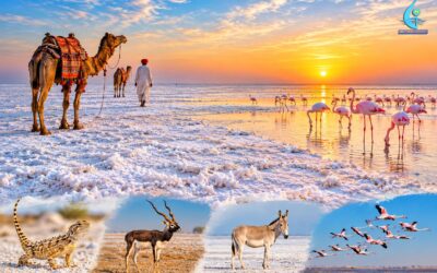 আমাদের দেশেই রয়েছে সাদা মরুভূমি