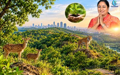 দিল্লির রিজ এবার সংরক্ষিত বনাঞ্চল হতে চলেছে